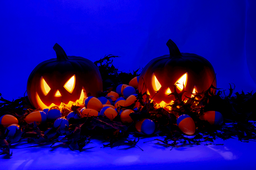 Harvest and Halloween eggs black light pumpkins