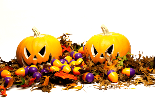 Halloween Black Light Empty Eggs-1000 Count image 3