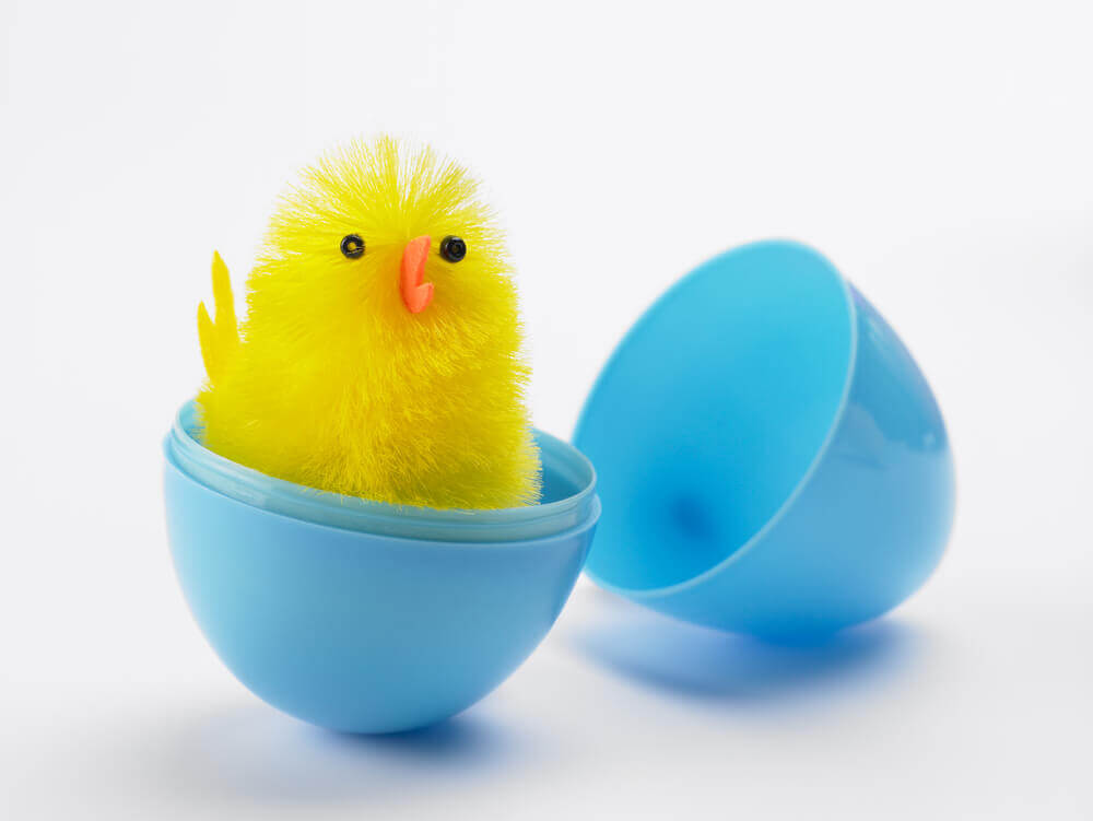 Toy chick inside Easter egg